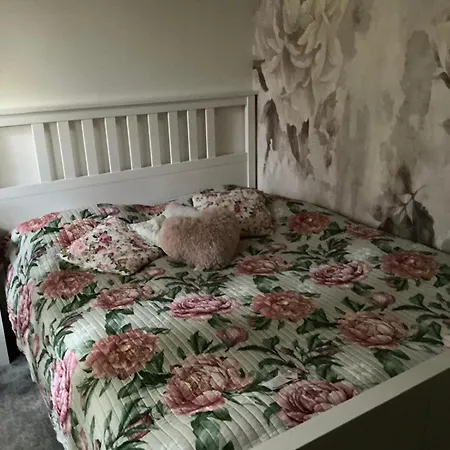 Zielona Przystan 1 Podamirowo